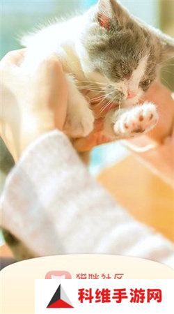 猫咪社区gps