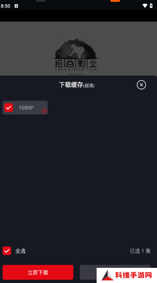 网飞猫
