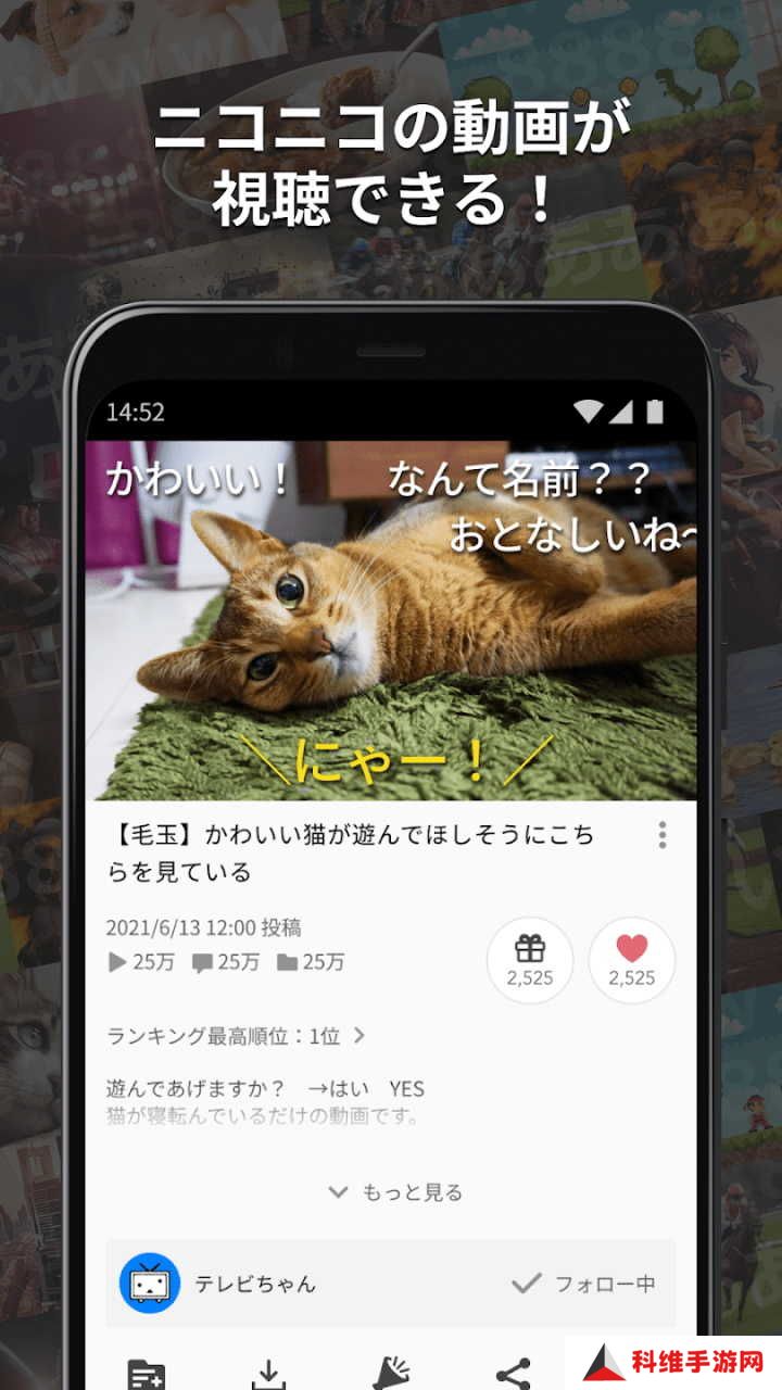 n站
