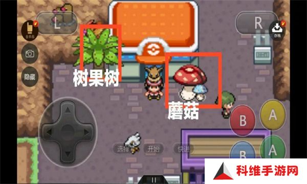 宝可梦伊布