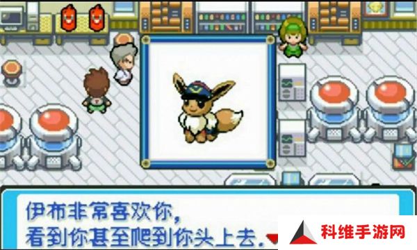 宝可梦伊布