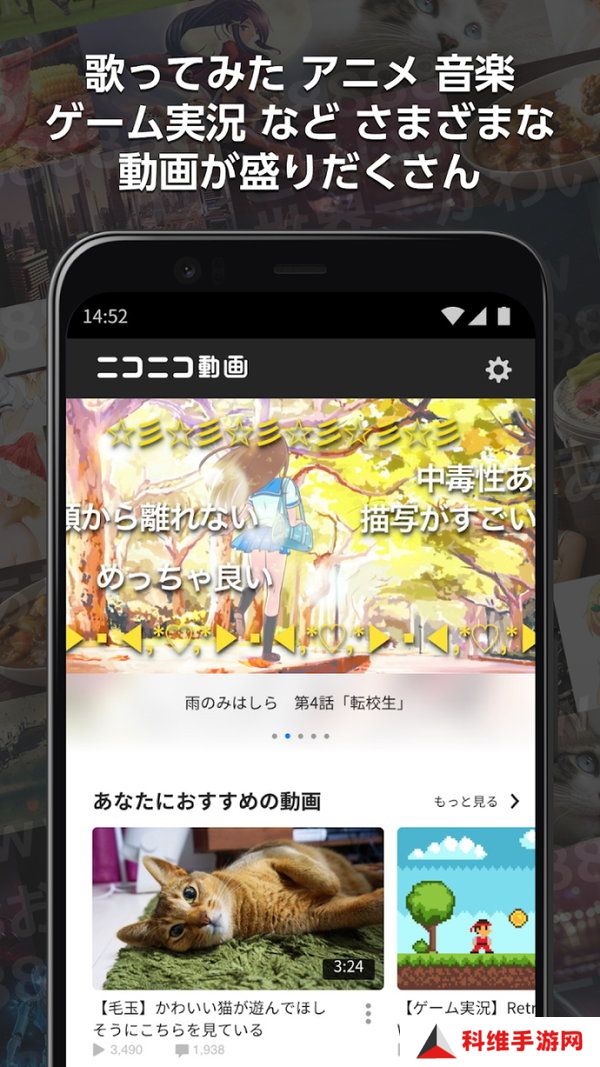 n站