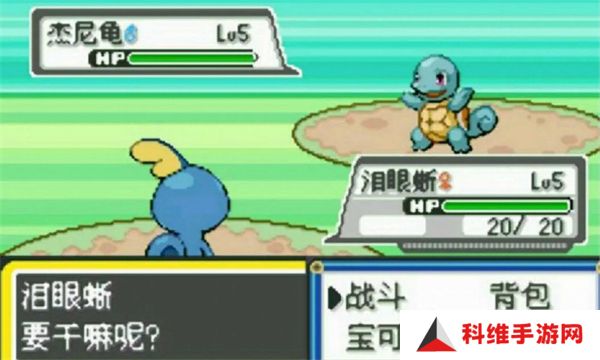 宝可梦伊布
