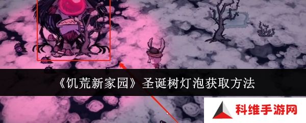 饥荒新家园圣诞树灯泡在哪里 新家园圣诞树灯泡如何获取[多图]图片1