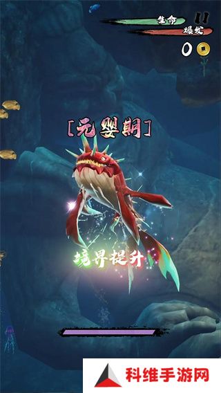 鲲也要修仙