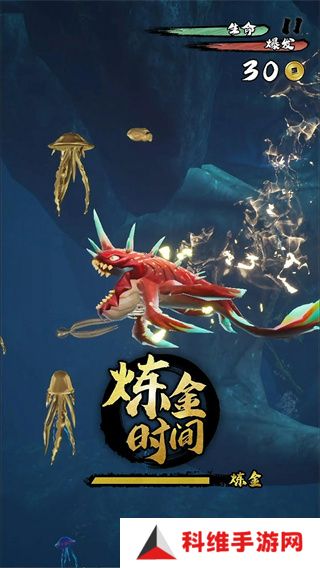 鲲也要修仙