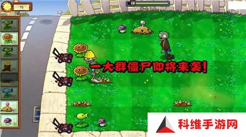 植物大战僵尸重生版最新版