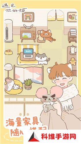 遇见你的猫正版