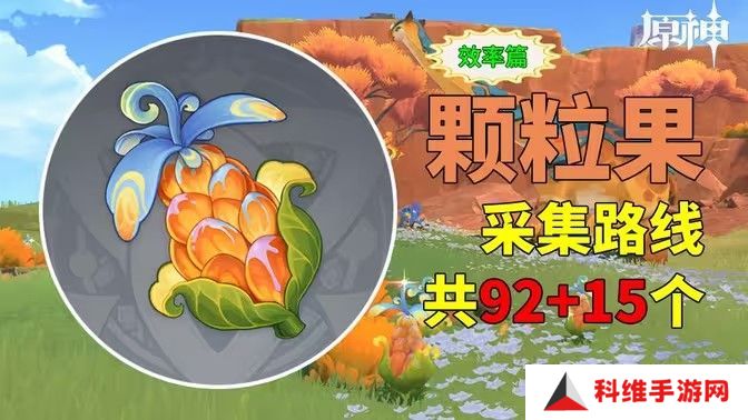 原神颗粒果在哪收集 颗粒果所有采集线路汇总[多图]图片1