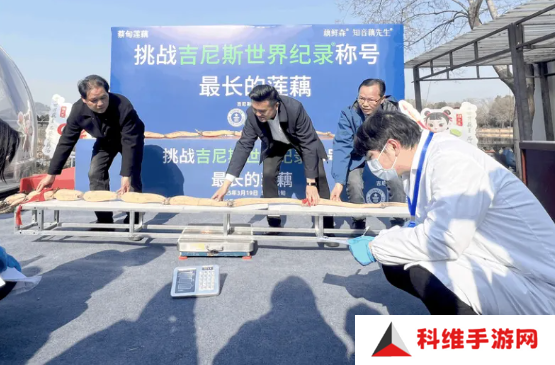 武汉3.473米长莲藕破吉尼斯纪录 将制成标本永久保存