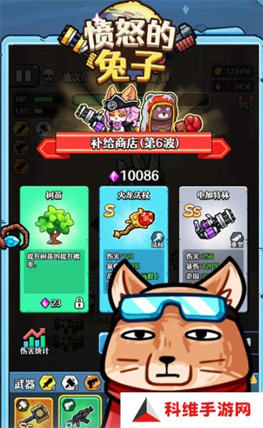 愤怒的兔子