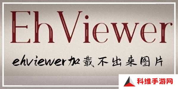 EHVIEWER第三方版 无法加载图片示例1