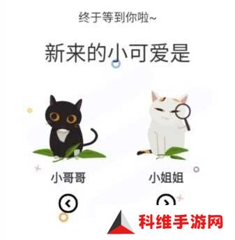 使用方法截图1
