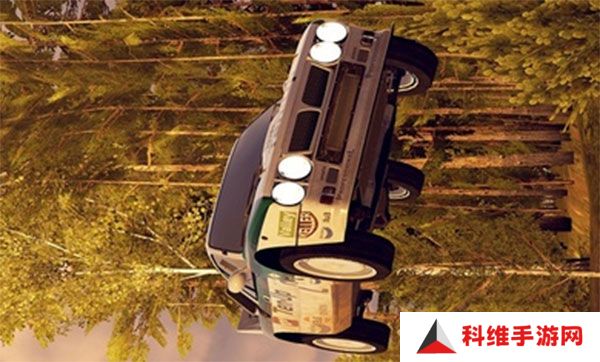 carx拉力赛