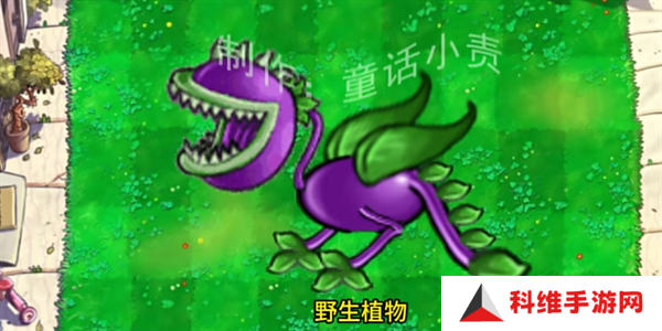 植物大战僵尸嫁接版2.0