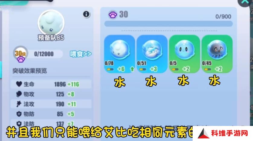蛋仔派对艾比等级突破31级攻略 艾比精英等级如何提升[多图]图片15