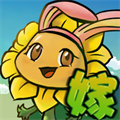 植物大战僵尸嫁接融合版