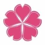 樱花动漫免费观看高清版樱花动漫