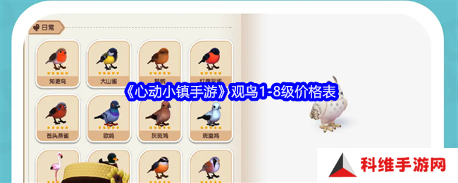心动小镇观鸟1-8级价格表 1-8级观鸟图片一览[多图]图片1